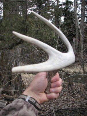 2011 Shed Hunting