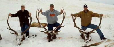 2010 Hunting Season