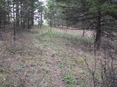 New Elk Hunting Leases