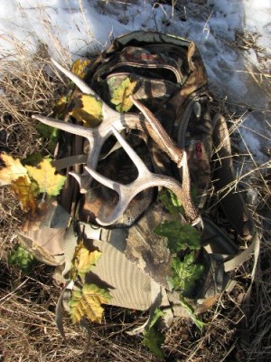 2011 Shed Hunting