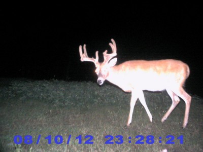 2012 Pre Season Trail Camera