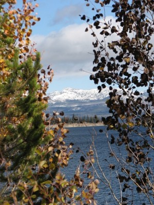 Yellowstone Park Photos