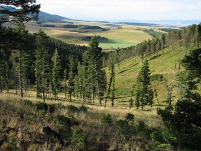 New Elk Hunting Leases