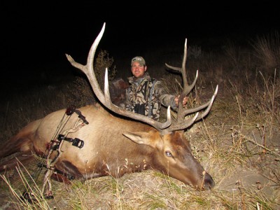 2012 Montana Elk