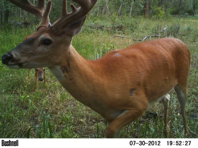 2012 Pre Season Trail Camera