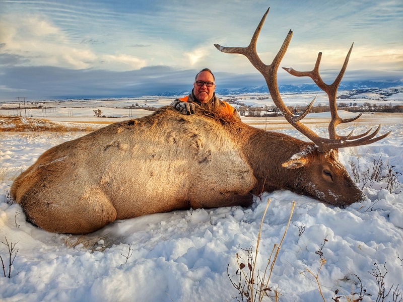 Elk Hunting MT