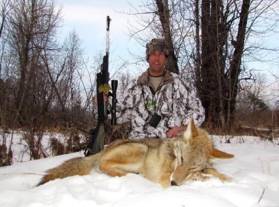Montana Coyote Hunts