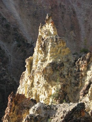 Yellowstone Park Photos