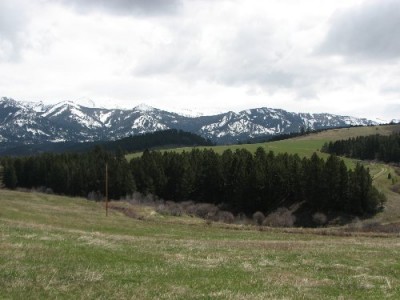 New Elk Hunting Leases