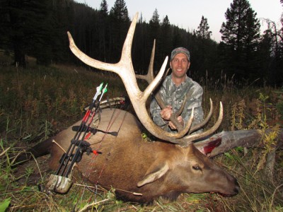 Montana Trophy Elk Bowhunting 2012