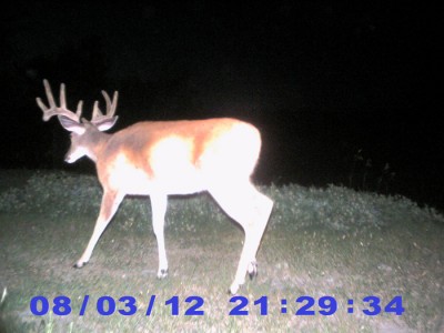 2012 Pre Season Trail Camera