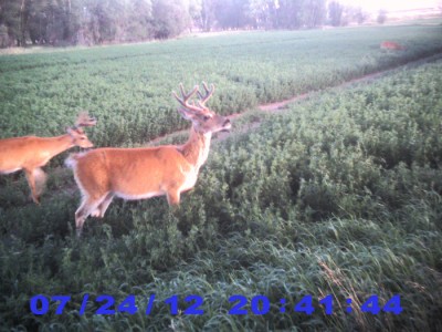 2012 Pre Season Trail Camera