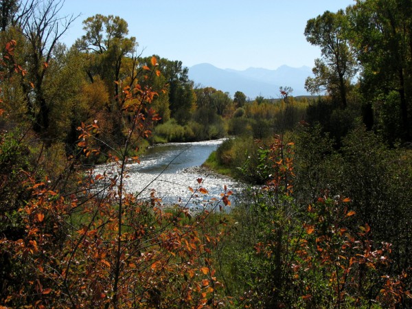 Montana Scenery