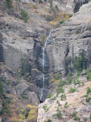 Yellowstone Park Photos