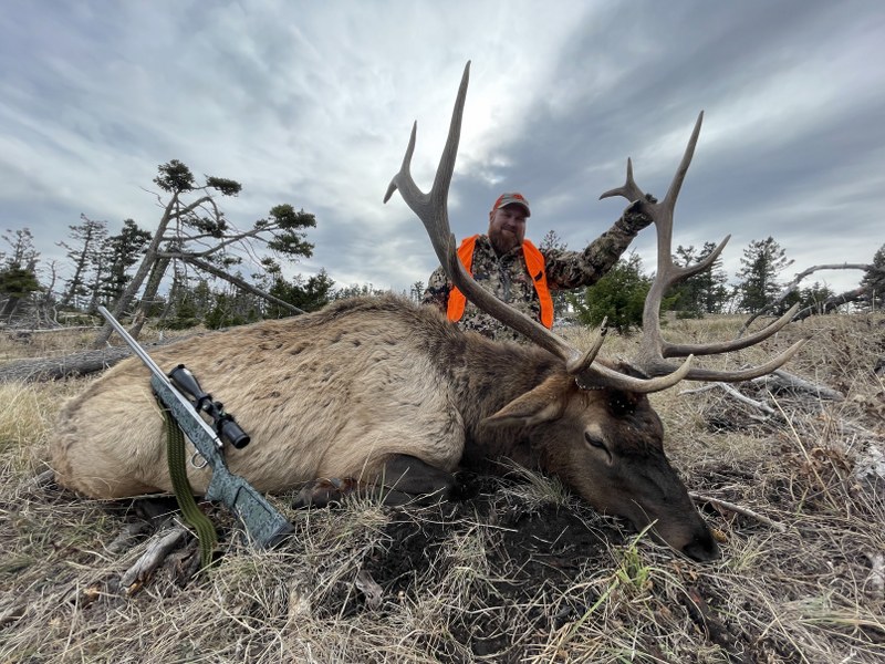 Elk Hunt MT