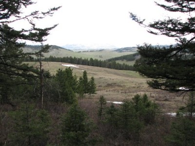 New Elk Hunting Leases