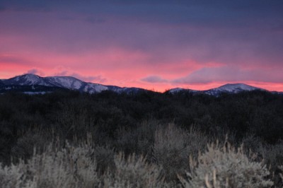 Montana Coyote Hunts